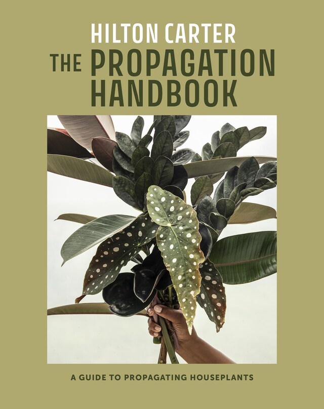 Kirjankansi teokselle The Propagation Handbook