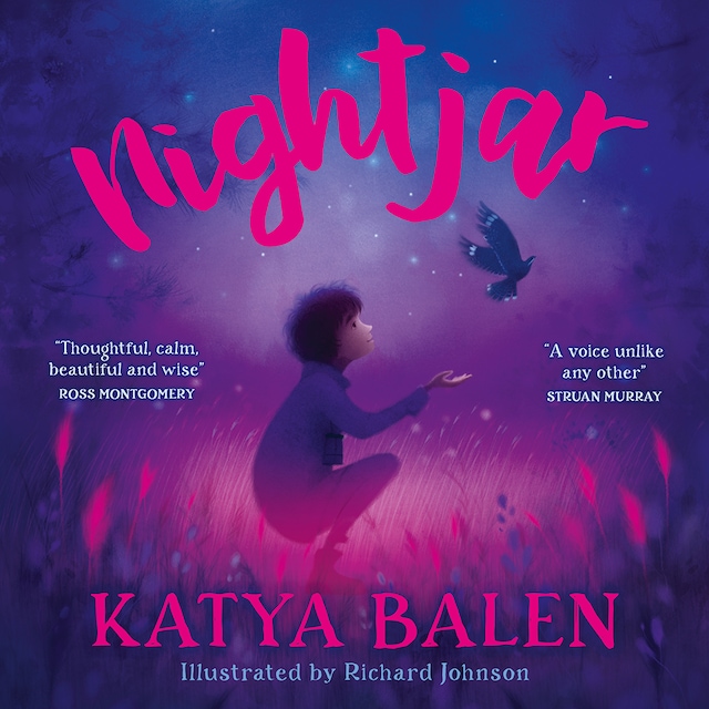 Book cover for Nightjar