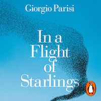 In a Flight of Starlings