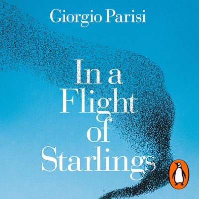 In a Flight of Starlings