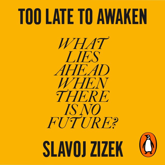 Book cover for Too Late to Awaken