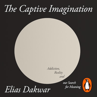 The Captive Imagination