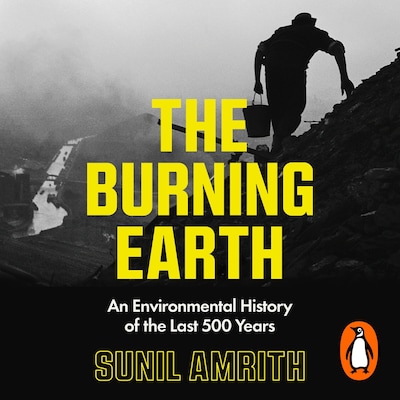 The Burning Earth