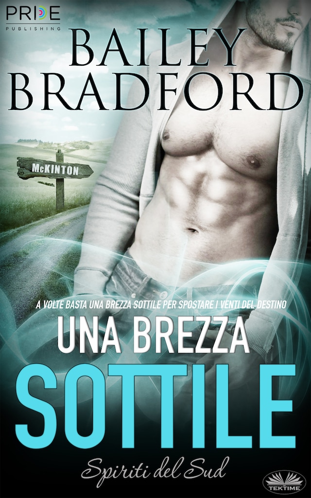 Book cover for Una Brezza Sottile