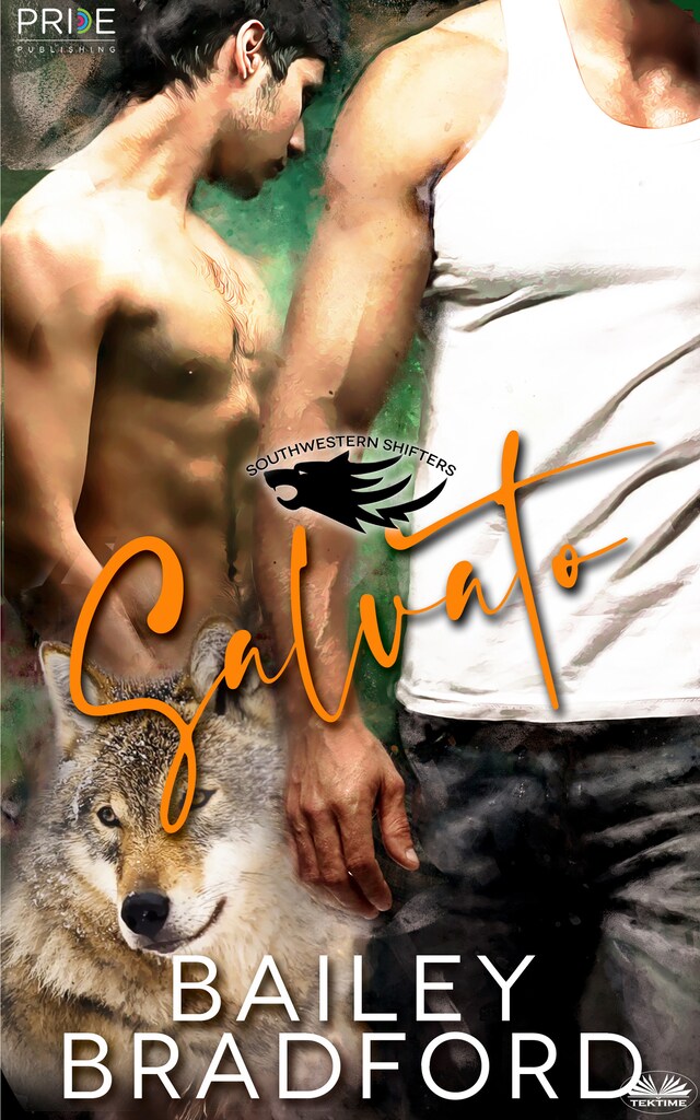 Book cover for Salvato