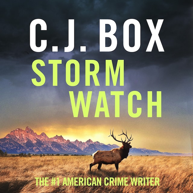 Book cover for Storm Watch