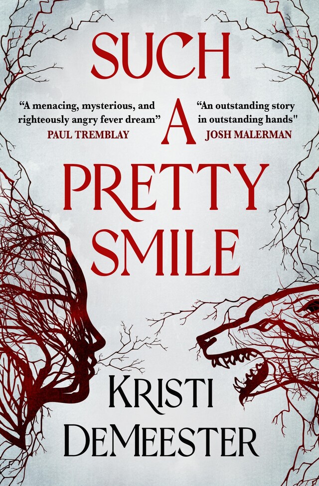 Book cover for Such a Pretty Smile