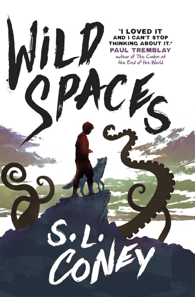 Book cover for Wild Spaces