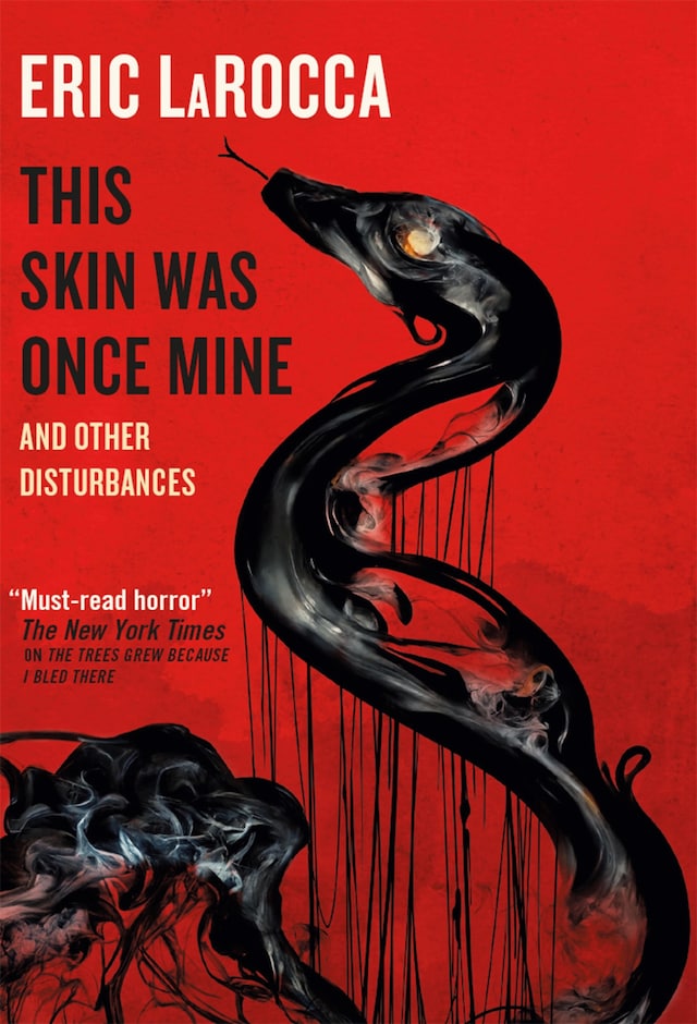 Book cover for This Skin Was Once Mine and Other Disturbances