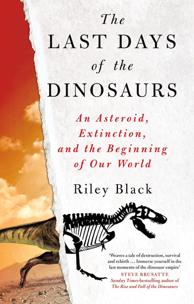 Book cover for The Last Days of the Dinosaurs