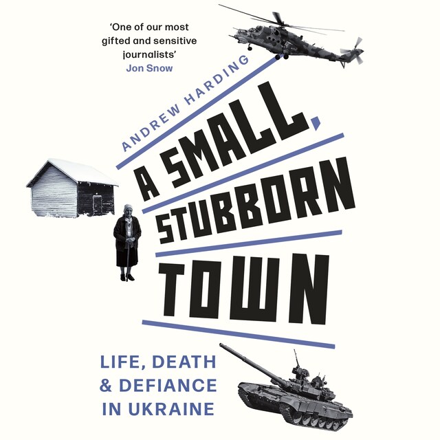 Book cover for A Small, Stubborn Town