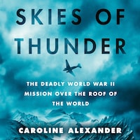 Skies of Thunder