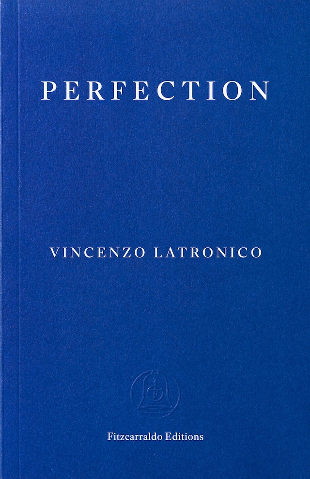 Book cover for Perfection
