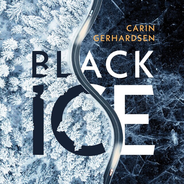 Book cover for Black Ice