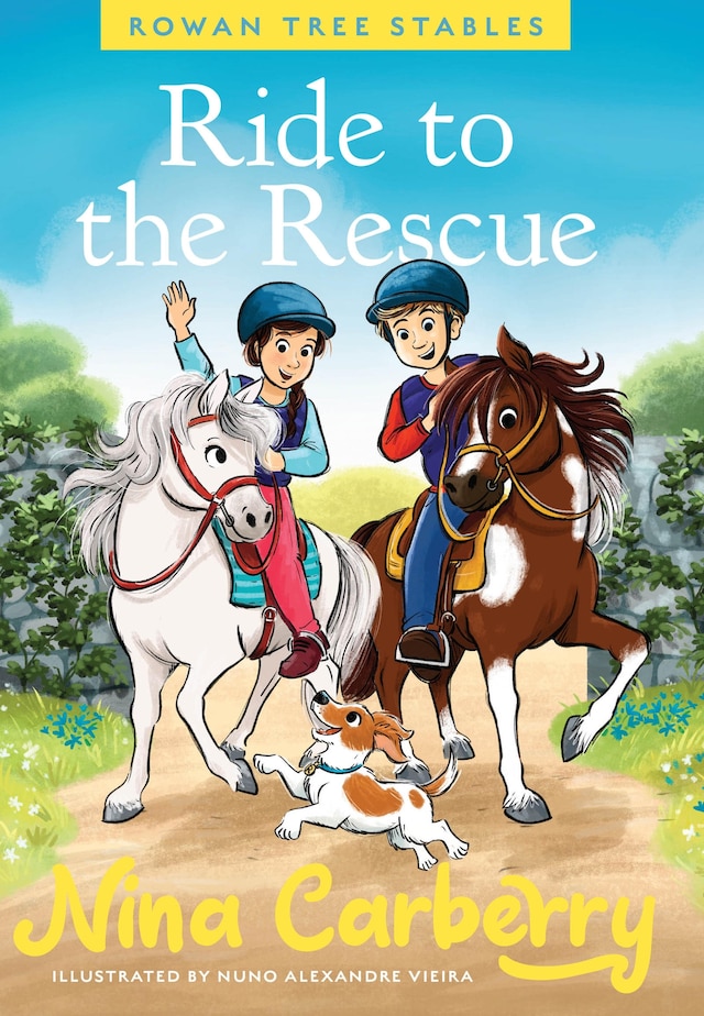 Book cover for Rowan Tree Stables