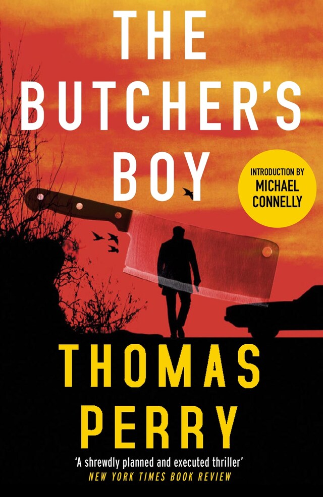 Buchcover für The Butcher's Boy