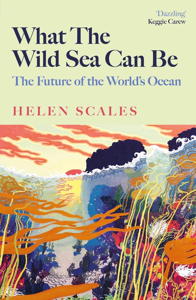 Book cover for What the Wild Sea Can Be