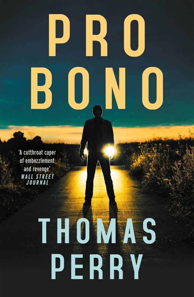 Buchcover für Pro Bono