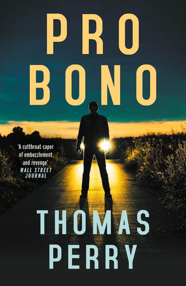 Buchcover für Pro Bono
