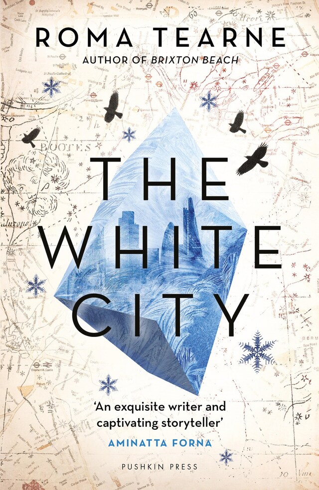 Book cover for The White City