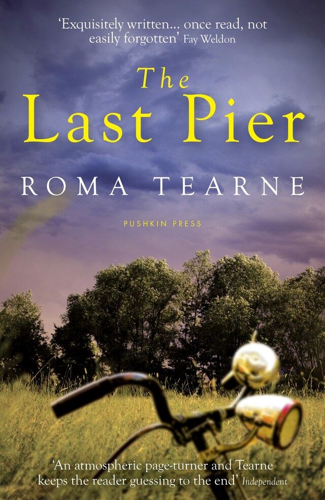 Book cover for The Last Pier