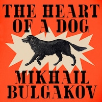 The Heart of a Dog