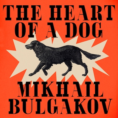 The Heart of a Dog