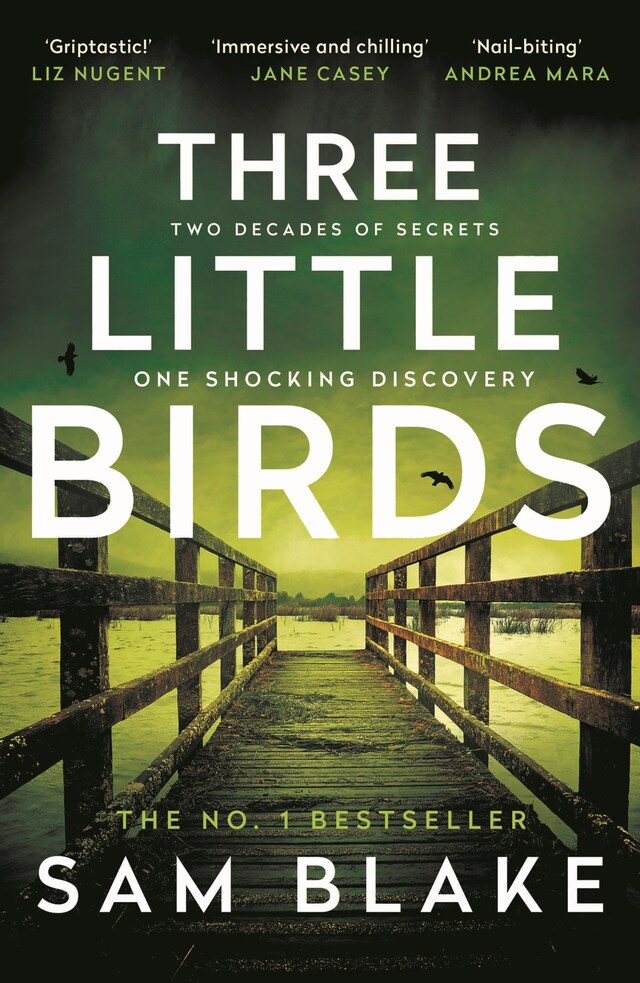 Copertina del libro per Three Little Birds