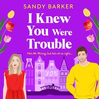 I Knew You Were Trouble - The Ever After Agency, Book 5 (Unabridged)