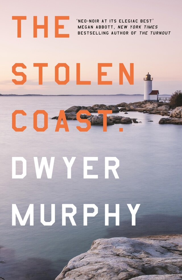 Book cover for The Stolen Coast