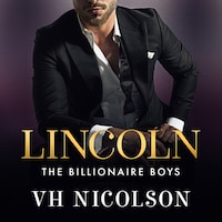 Lincoln - A steamy, strangers-to-lovers, secret billionaire, workplace romance from VH Nicolson for 2025! (Unabridged)