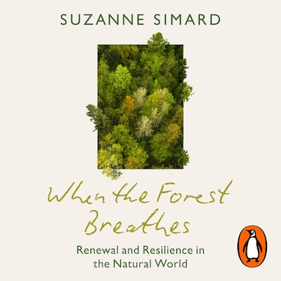When the Forest Breathes