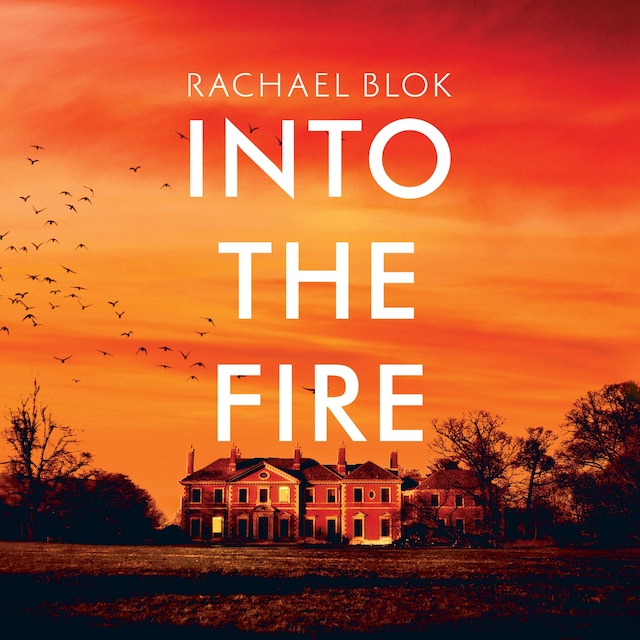 Book cover for Into The Fire