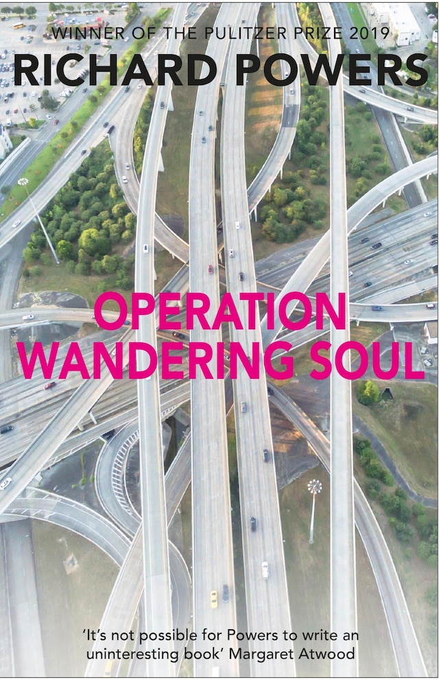 Book cover for Operation Wandering Soul