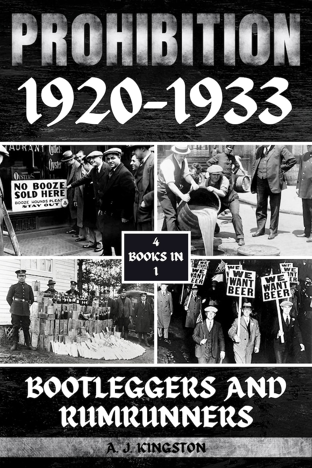 Portada de libro para Prohibition 1920-1933