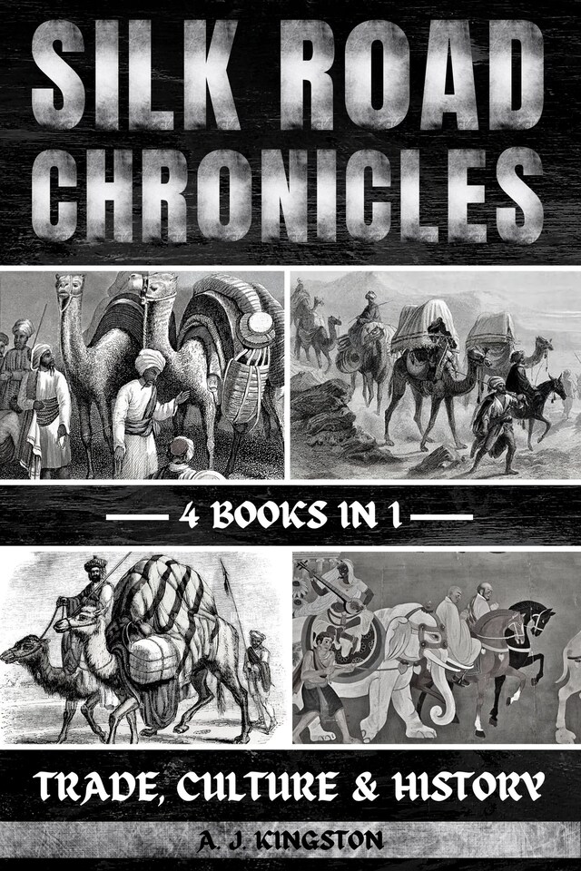 Book cover for Silk Road Chronicles