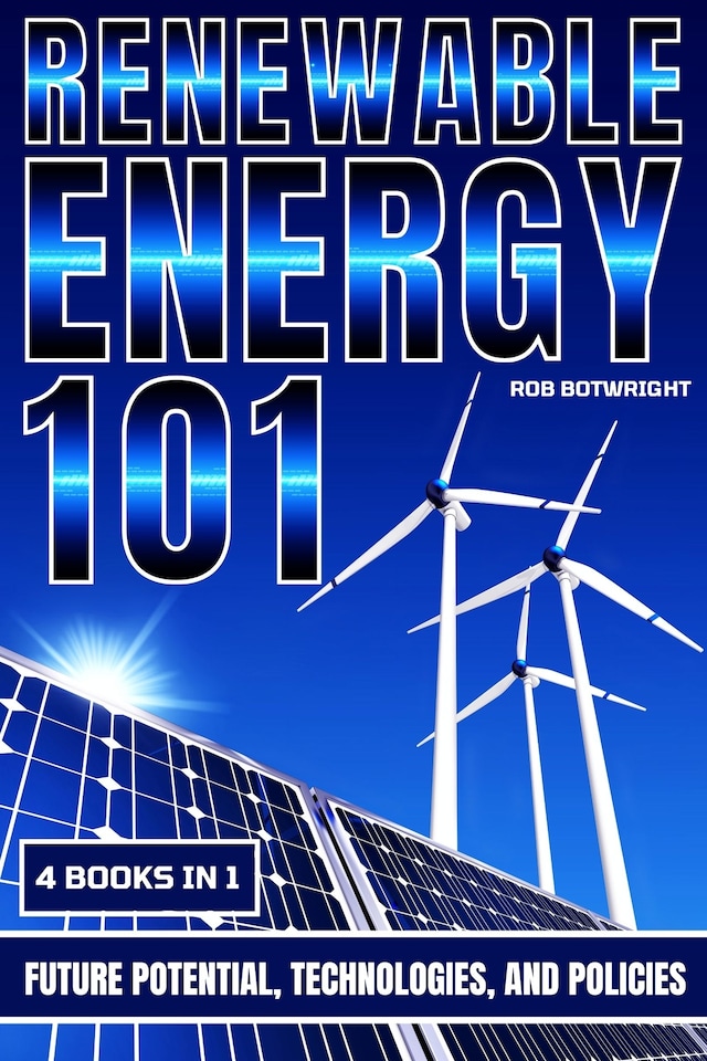 Boekomslag van Renewable Energy 101