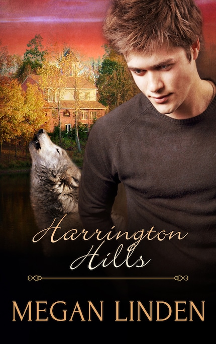 Harrington Hills: Part One: A Box Set bookCoverFor