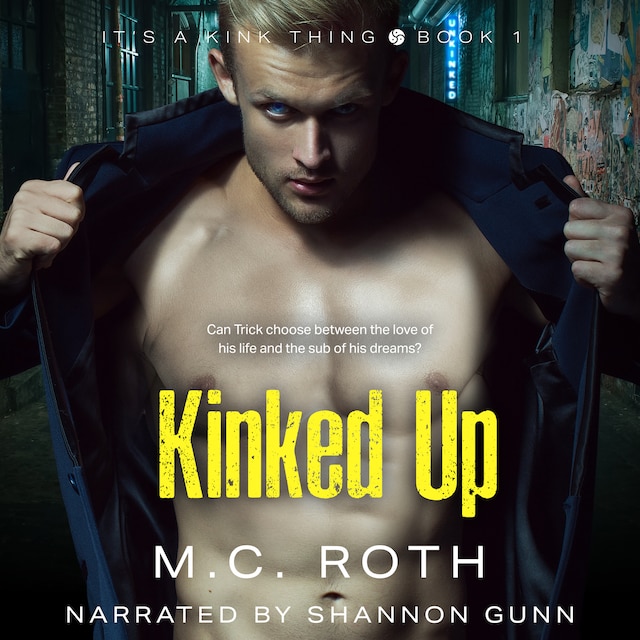 Book cover for Kinked Up