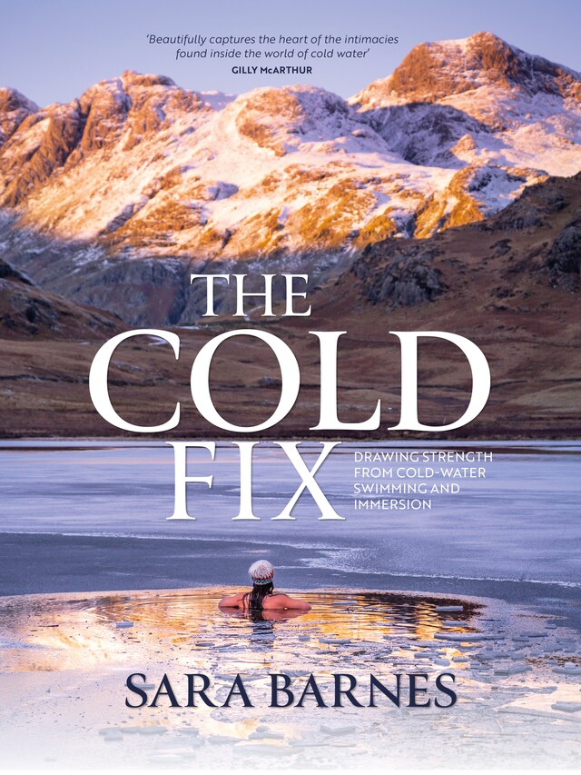 Boekomslag van The Cold Fix