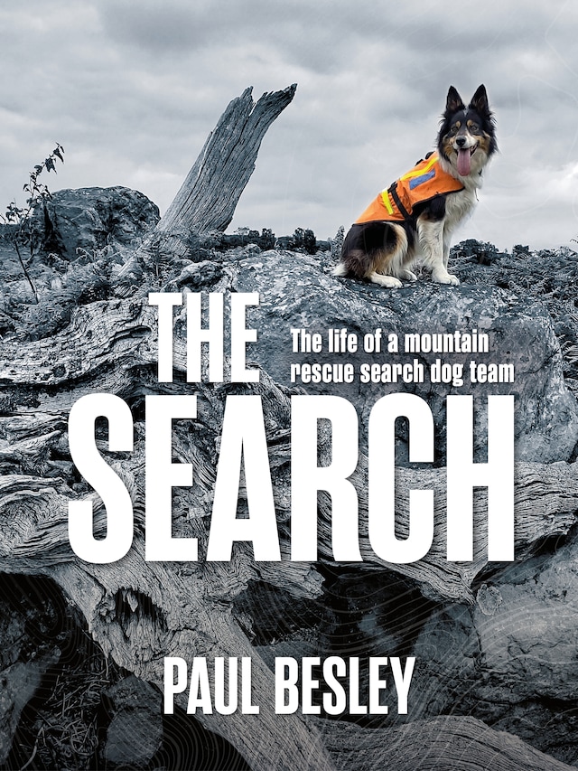 Boekomslag van The Search