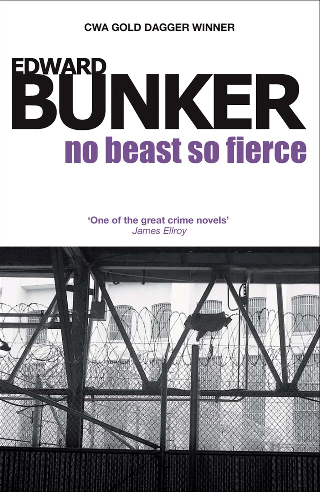 Book cover for No Beast So Fierce