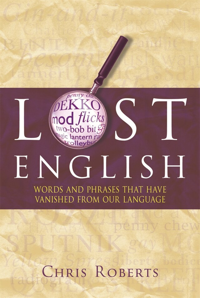 Book cover for Lost English