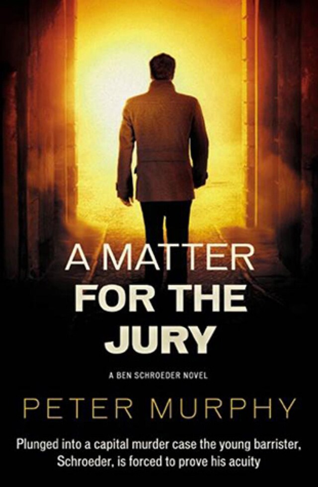 Book cover for A Matter for the Jury