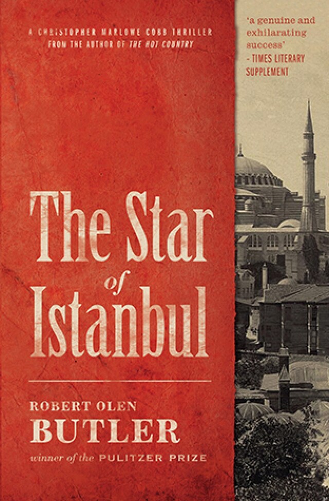 Book cover for The Star of Istanbul