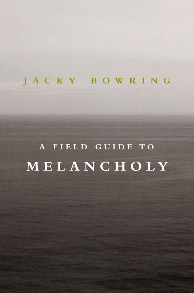 Book cover for A Field Guide to Melancholy