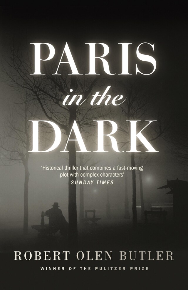 Book cover for Paris In the Dark