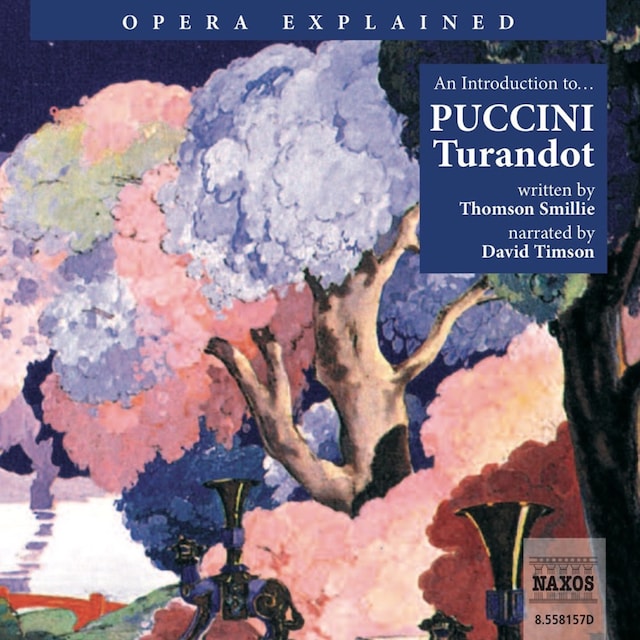 Buchcover für Opera Explained – Turandot