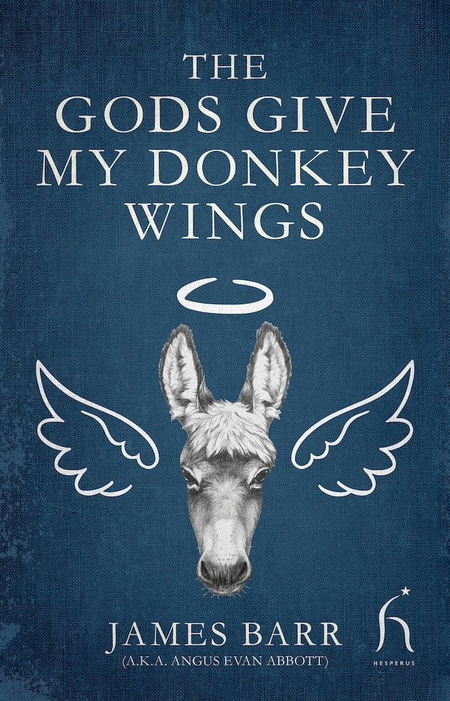 Book cover for The Gods Give My Donkey Wings