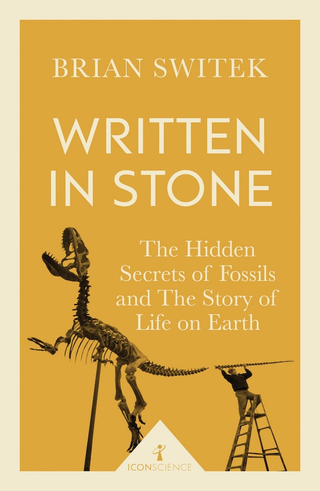 Bokomslag for Written in Stone (Icon Science)